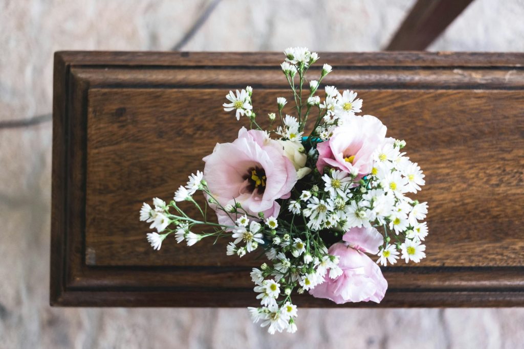 Pink and white flowers in soft light